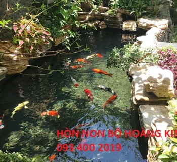 Những điều quý khách cần biết khi làm hồ cá nam bộ