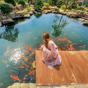 Thi Công Hồ Cá Koi Nhật Bản Chuyên Nghiệp, Miễn Phí Thiết Kế 3D Hồ Cá Koi