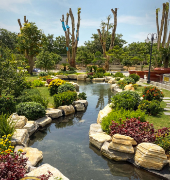 Thiết Kế Hồ Cá Koi 99+ Mẫu Hồ Cá Koi Nhật Bản Đẹp Nhất